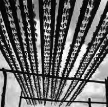 Fish Racks, Baicul, Itaparica, Brazil