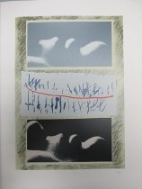 Untitled (from the monograph "Red Bird")
