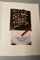 Untitled (from the monograph "Red Bird")