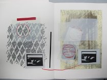 Untitled (from the monograph "Red Bird")