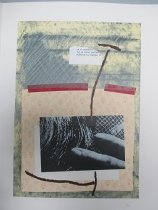 Untitled (from the monograph "Red Bird")