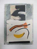 Untitled (from the monograph "Red Bird")