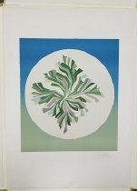 Sensitivity (from The Art of Emilio Pucci set)