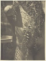 She of the Piru Tree (from portfolio "Survey 1986" )