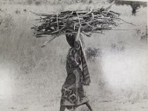 Photographs of Cameroon (one of 80)