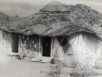 Photographs of Cameroon (one of 80)