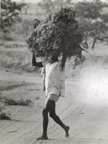 Photographs of Cameroon (one of 80)