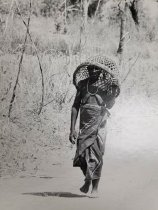 Photographs of Cameroon (one of 80)