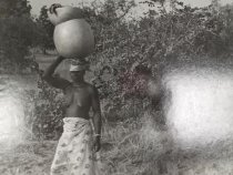 Photographs of Cameroon (one of 80)