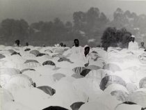 Photographs of Cameroon (one of 80)