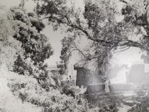 Photographs of Cameroon (one of 80)