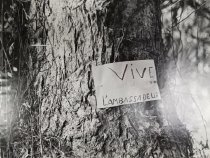 Photographs of Cameroon (one of 80)