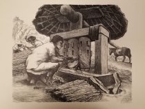 Grinding Sugar Cane from the portfolio, "Mexican People"