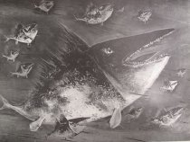 Big One, Little Ones