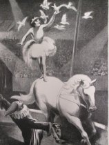 Circus (Circus, white horse)