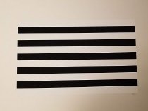 Untitled (from the portfolio "One and Another")