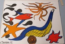 Star from the portfolio, "Our Unfinished Revolution"