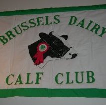 4-H Dairy Banner