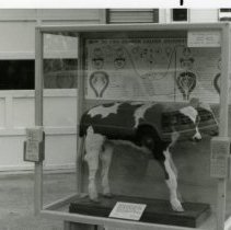 photograph found in accession file