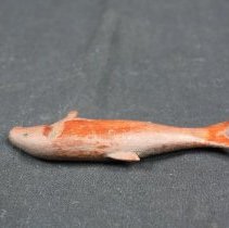 Top view of fish