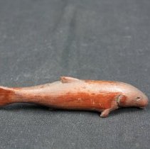 Side view of fish