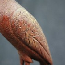 Close up view of wing