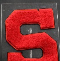 The "S" Patch