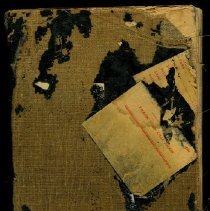 Journal of George E. Fitzpatrick - back