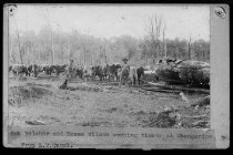 Bob Belcher, Moses Wilson