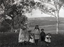 Negative, Glass-plate