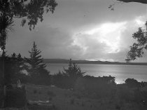 Negative, Glass-plate