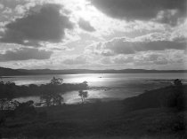 Negative, Glass-plate