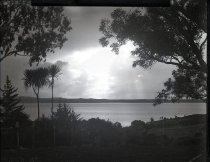 Negative, Glass-plate