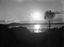 Negative, Glass-plate