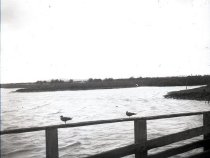 Negative, Glass-plate