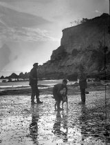 Negative, Glass-plate