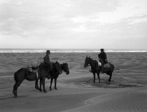 Negative, Glass-plate