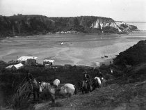 Negative, Glass-plate