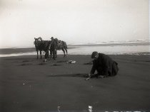Negative, Glass-plate
