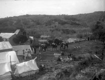 Negative, Glass-plate