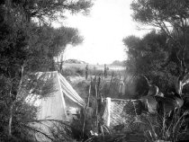 Negative, Glass-plate