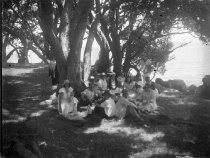 Negative, Glass-plate