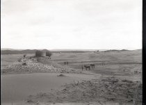 Negative, Glass-plate