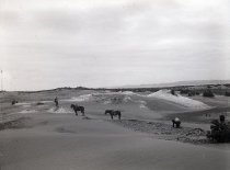 Negative, Glass-plate