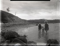 Negative, Glass-plate