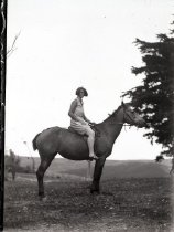 Negative, Glass-plate