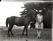 Negative, Glass-plate