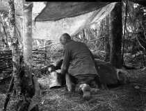 Negative, Glass-plate