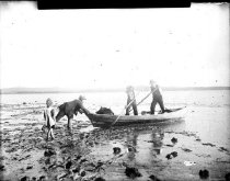 Negative, Glass-plate
