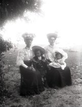 Negative, Glass-plate